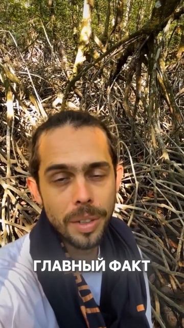 Напиши «тест» в личные сообщения - я собираю только лучшие туры по Вьетнаму!