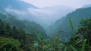 Уход за очаровательными козлятами и забота о свинье‑маме, которая только что родила.