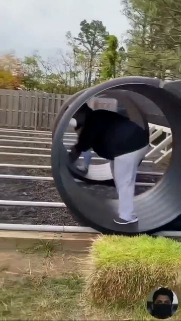 Ноги короткие