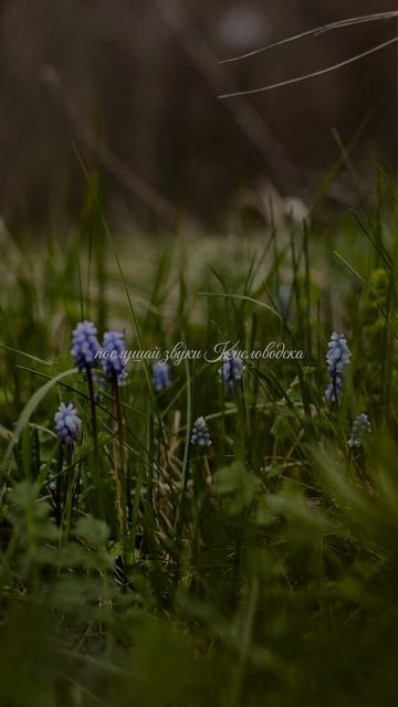 т е р а п и я🐦⬛