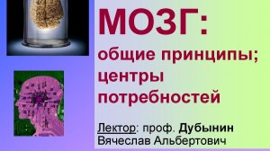 Физиология потребностей 4 - Мозг и страх