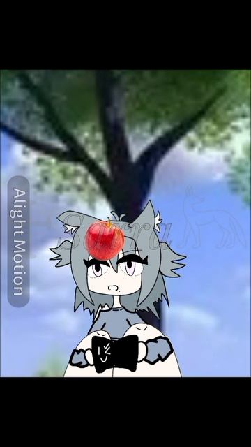 Новое видео