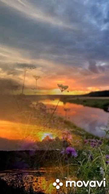 Вечерний человек