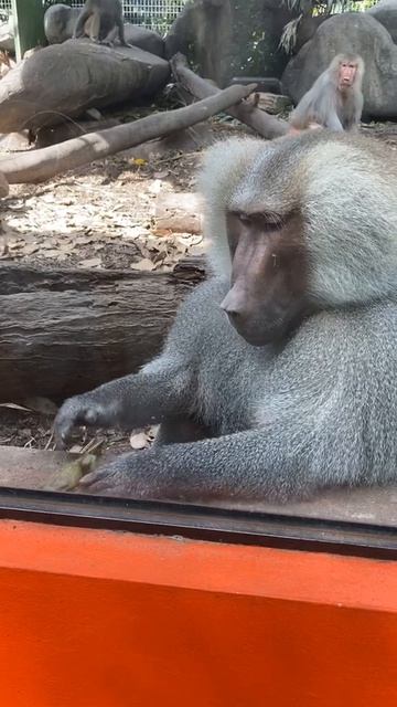 Такой концовки я и сам не ожидал (283)