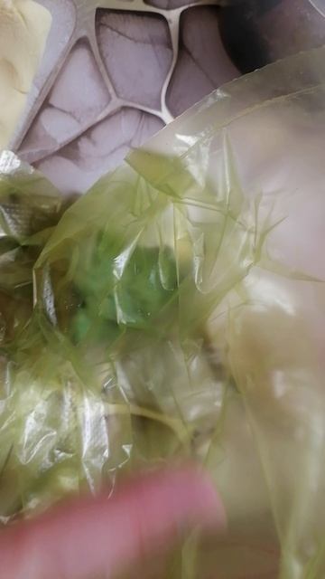 VID_20260321_212056.mp4