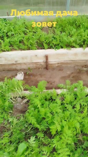 Любимая дача зовет