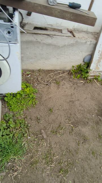 Альфа, поехала! Решаем новую проблемку.