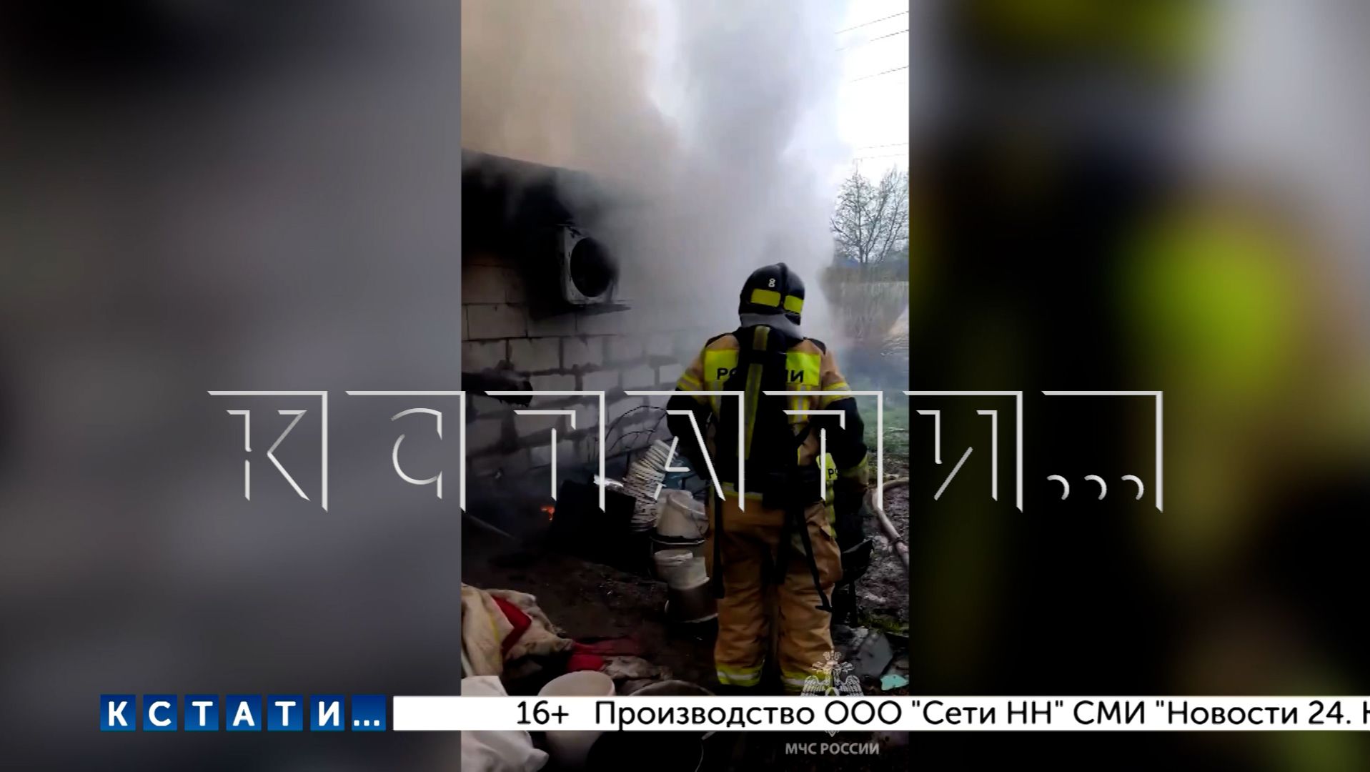 Элитный питомник с сотнями карманных собак, располагавшийся в сарае, сгорел