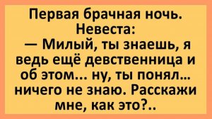 Милый, ты знаешь, я ведь ещё девственница и об этом... ничего не знаю... | Анекдоты смешные | Юмор
