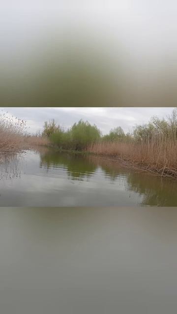 рыбалка в Астрахани 2026г #fishing #рыбалка полное видео смотрите на канале!#астраханьрыбалка