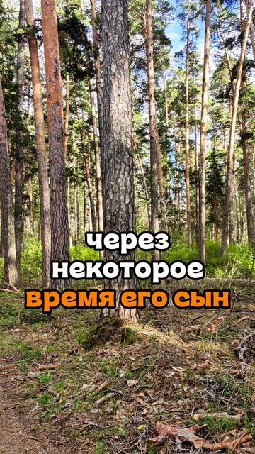 житейская притча