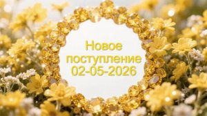 Новое поступление 2-05-2026