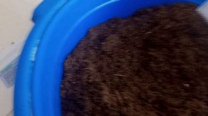 Огородный сезон 2026/1