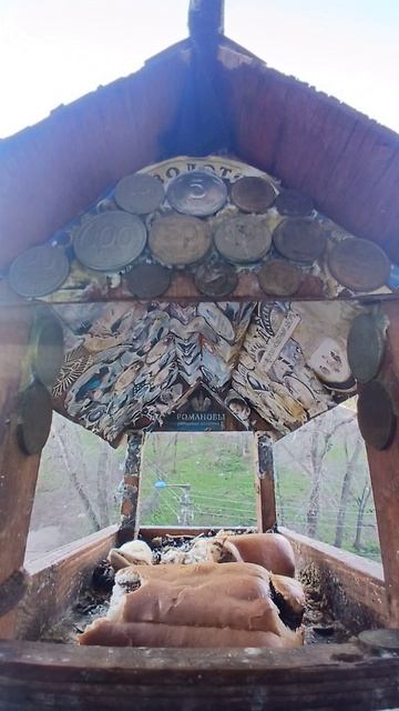 1000016632.mp4Кормушка.30.04.2026г.