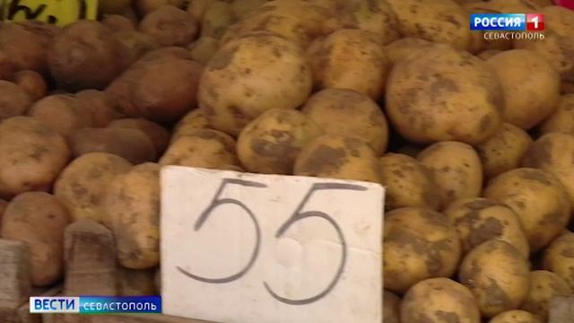 Цены на сезонные овощи и фрукты в Севастополе снизились