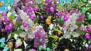 С 1 МАЯ!!! Музыкальное поздравление Цветы сирени 1 от Киностудии Мудрого Кота Тимофея!