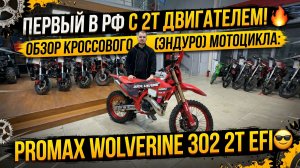 Первый в РФ с 2Т двигателем! 🔥Обзор кроссового (эндуро) мотоцикла PROMAX WOLVERINE 302 2T EFI😎
