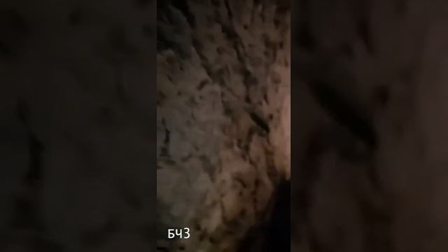 Правда войны...