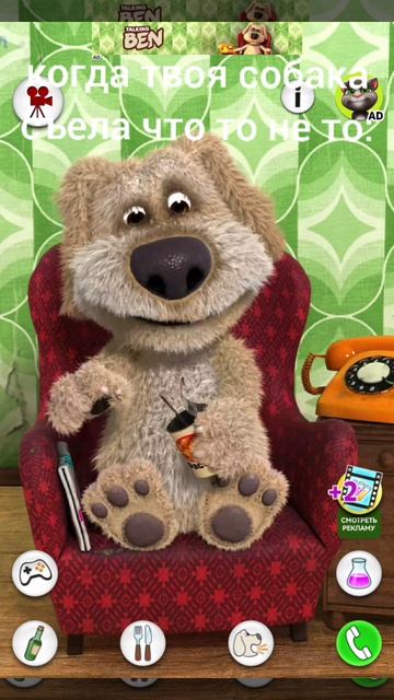 когда твоя собака съела что то не то