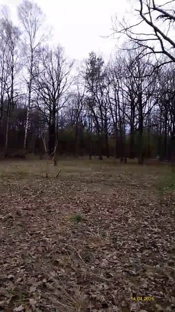 Главный ботанический сад имени Н. В. Цицина РАН 14.04.2026