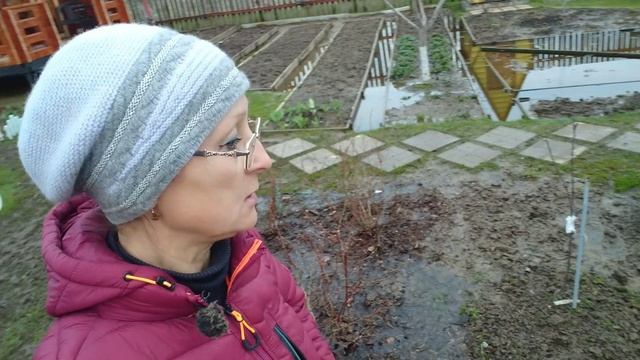 Видео привет с 6 соток 29 апреля 2026 года