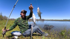 РЫБАЛКА ПО КАЙФУ НА ПРОСТУЮ ДОНКУ. А НА ПОЛЯХ ВОДА КИПИТ. НЕРЕСТ РЫБЫ В ПОЛНОМ РАЗГАРЕ. Астрахань.