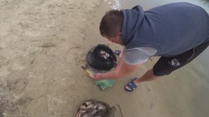 рыбалка на Дону весной на донки