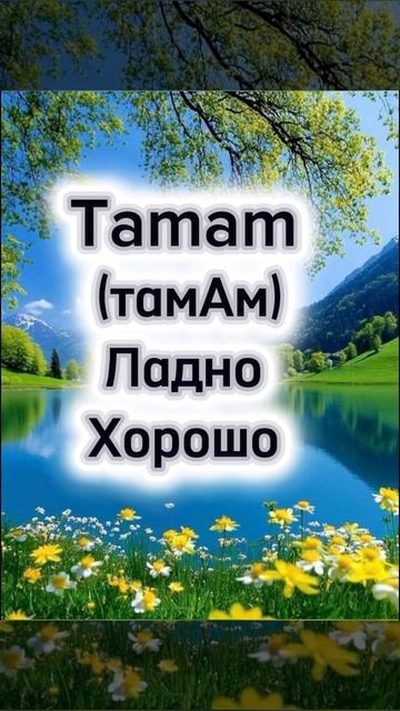 Как поблагодарить на турецком языке 🇹🇷💙 поговорим на турецком языке ‼️ учим турецкий язык