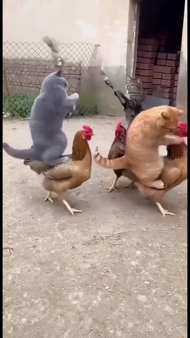 Финальная битва титанов