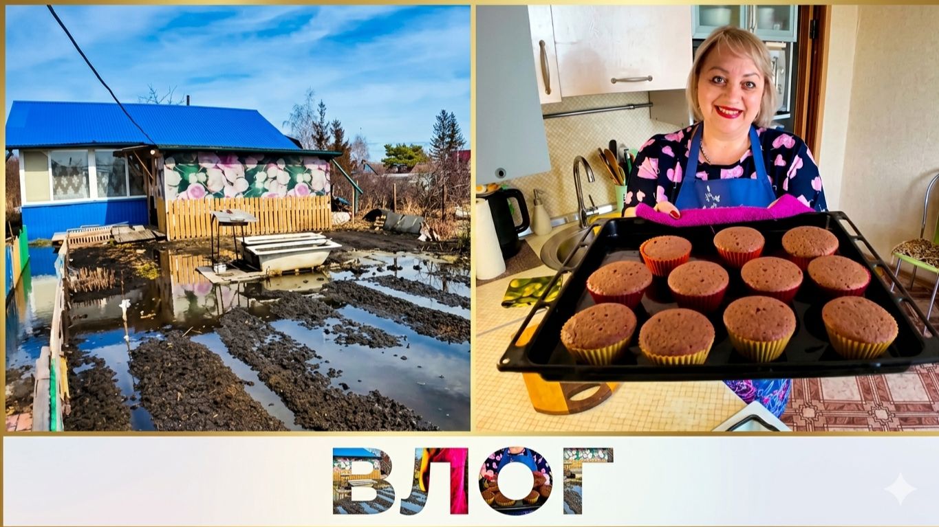 Советовали! Отвечаю про дачу  Заодно и испекла шоколадные кексы