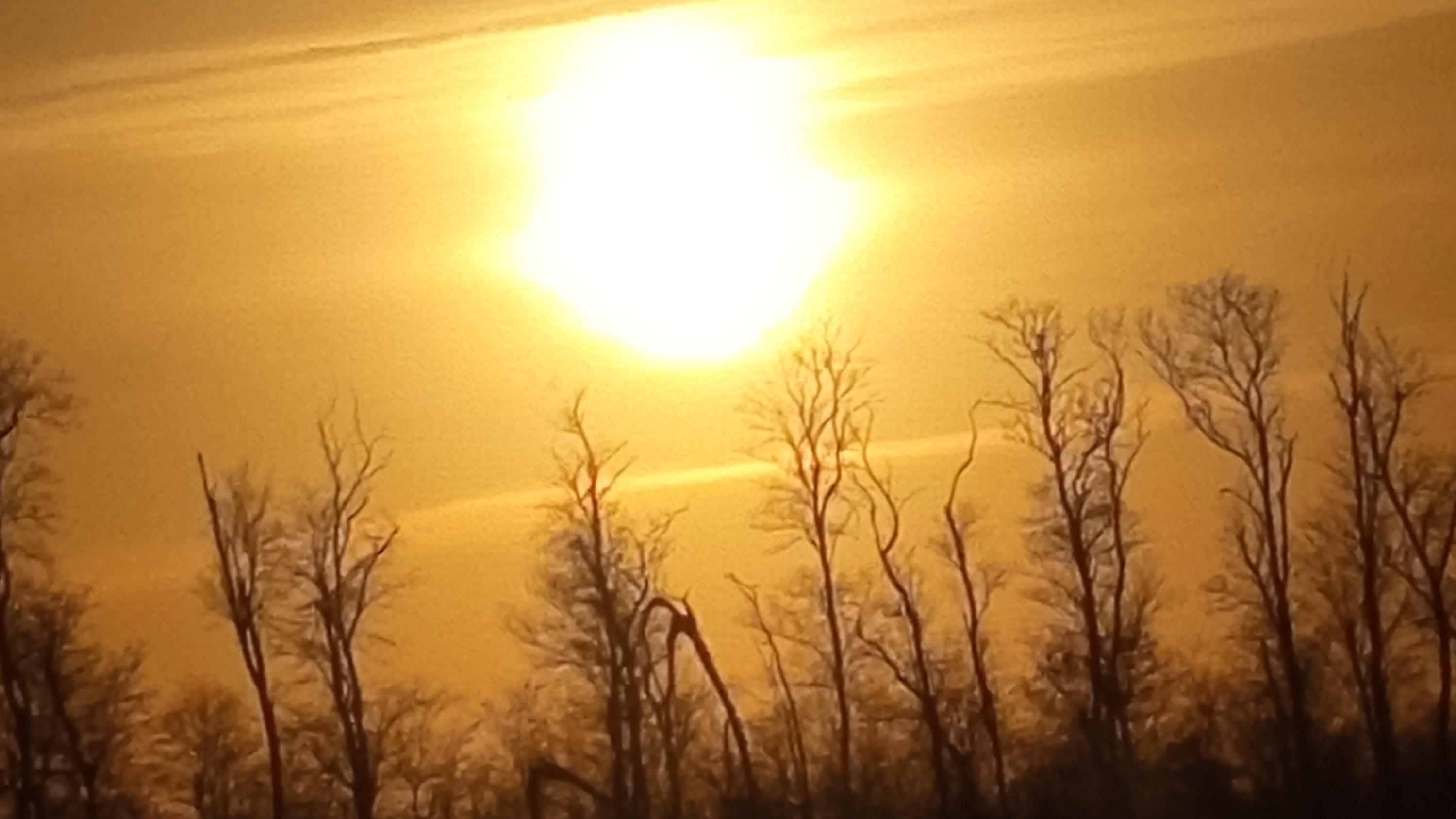 нуууу... тренд, наверное...