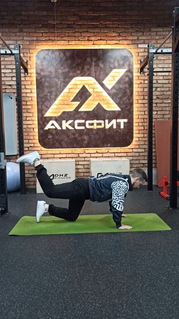 Разгибание бедра из коленно-кистевой позиции