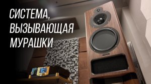 🔥 Здесь собирают крутые системы! Зашел в новый аудиофильский салон «Гармония звука»