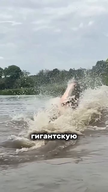 В существование таких червей сложно поверить