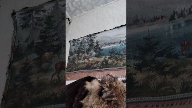 301.mp4