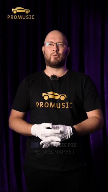 Toyota RAV4 XA30 F1 + Pro Music P25