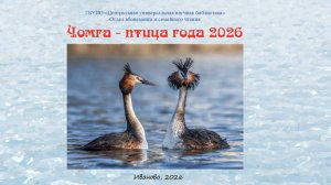 Выставка-презентация: «Чомга- птица года 2026».