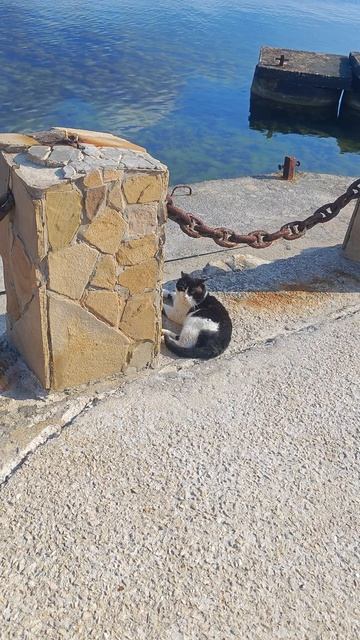 Зеленуха и Кот. Крым. Кафа.