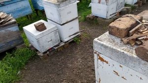 Приспособа от сильного ветра для ульев ППУ.