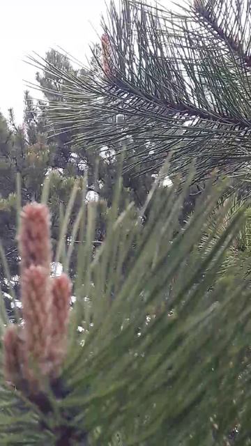 Дождливый день