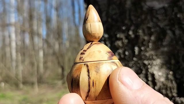 Шкатулка в апрельском лесу на березе