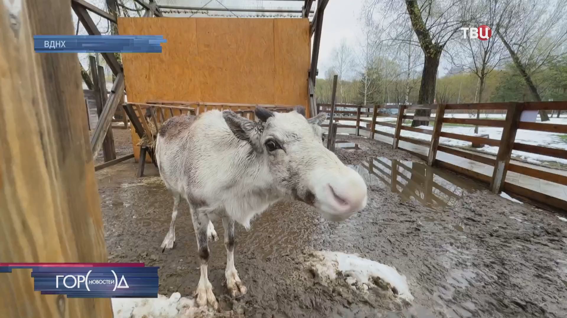На Городской ферме ВДНХ старшеклассники высадили огромные овощи