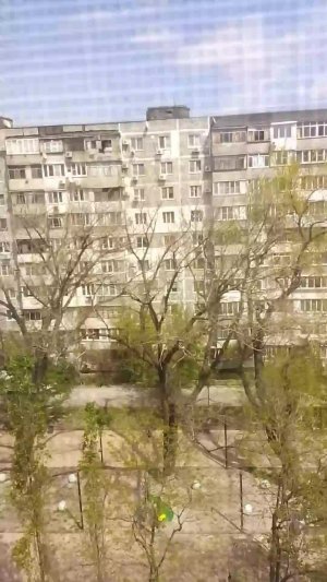 Посмотрите на эту красоту