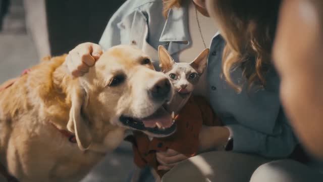 Дени и Мэни — Русский трейлер (2026)