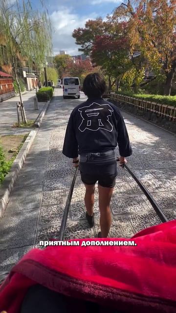 Рикши Синдзюку: туристический сервис