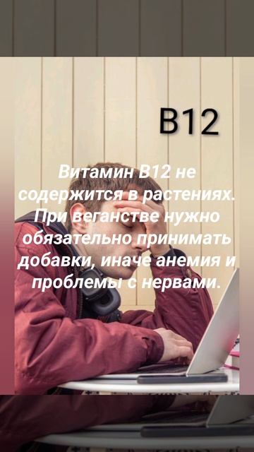 Веганство полезнее обычного питания? Честный ответ