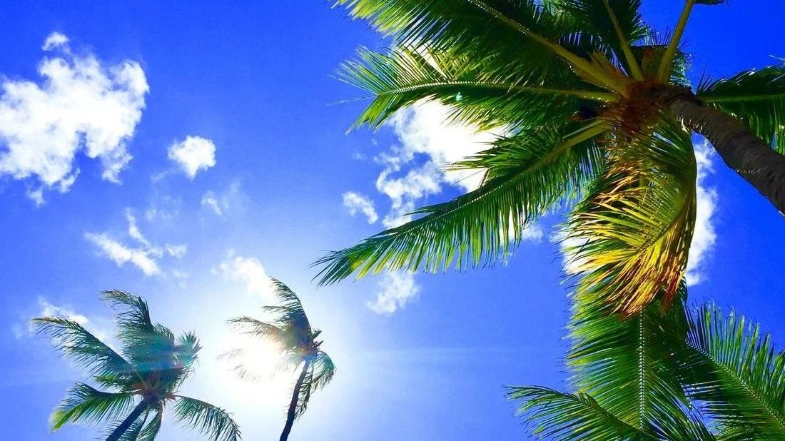 Слушать музыку  Музыка онлайн SoundWave LIVE ✌️😎