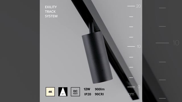 Светильник Maytoni Exility Focus LED TR032-2-12W4K-M-B