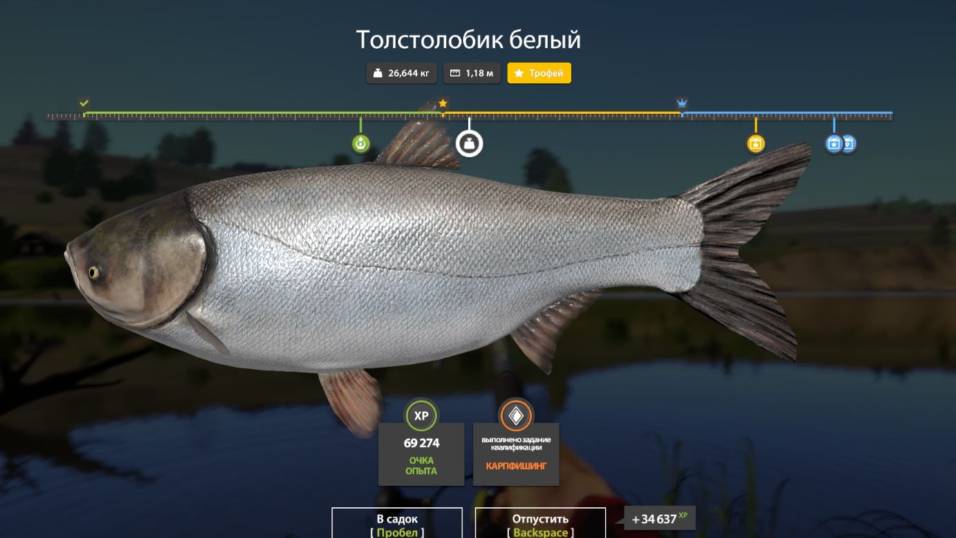 Река Сура Ловлю  толстолобика, сазана, щуку, хариуса, сома