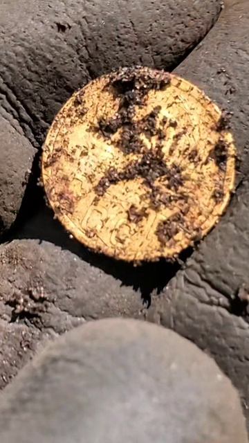 Двушечка, класс.